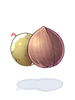 Coconut Fruit