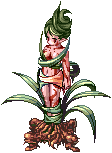 Dryad