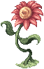 Red Flower