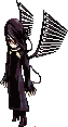 Shadow of Illusion